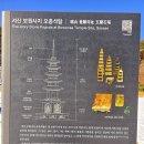 충남지물 | 백제 때 창건돼 고려 초 크게 번창했던 폐사지 사산 보원사지(사적 제316호)-서산시 운산면 마애삼존불...