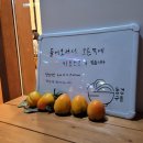 동경에서먹었던규동 | [동남지구 맛집] 혼밥하기 좋은 밥집/ 동경에서 먹었던 규동[동경규동] 방문 후기🏃‍♀️