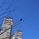 새매개천 이미지