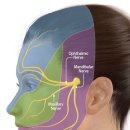 서울통치과의원 이미지