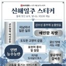 드림라이더