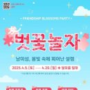 명동산장펜션 | 🌸 [남이섬 벚꽃축제 2025] 벚꽃길, 그 설렘의 시작