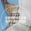 금오파스텔아파트경로당 | 의정부 곰팡이핀벽지교체, 벽지 부분 도배 전문