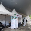 용암길 | 아름다운 고통! 거문오름 용암길 트레킹과 꿀맛 같은 점심