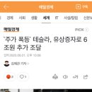 [주식] 주가 폭등 테슬라, ‘유상증자’로 6조원 추가 조달 이미지