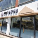 리본동물병원 이미지