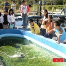 한국타이어(주)금산공장 이미지