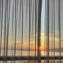 곡성-117 | 제주 여행 2 | 태닝, 제주상춘재, 삼다수숲길, 스키즈키, 에브리바디빈티지, 커피냅로스터스, 애월몽...