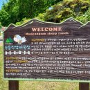 한얼목장 네이버블로그