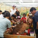 일권농장 이미지