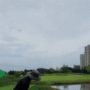 파인통상 이미지