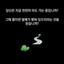 달팽이의 꿈 이미지