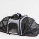 가방위에 고양이 이미지