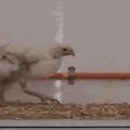 공룡PC방 이미지