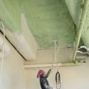 딩굴댕굴 애견호텔 유치원 이미지