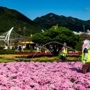 황산공원 이미지