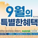 다비치안경 주안점 이미지