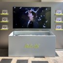 (주)대경아이디 | [팝업]앤팀 &amp;TEAM 🐺 한국 데뷔 back to life 팝업스토어 후기 10/28-11/04