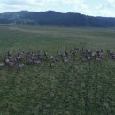 대지사슴농장 이미지