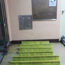 보성어린이집 이미지