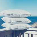 핑크파르페 이미지