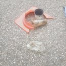 적당한 정의는 없습니다 이미지