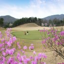 썬밸리 컨트리클럽 이미지