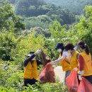 청정신흥마을 이미지