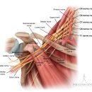 금산거북이한의원 | &lt;올빼미&gt; 속 혈자리 (스포있음, 두서없음)