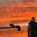 두리안모텔 이미지