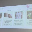 총림사아이숲유치원 | 세종 솔빛숲유치원 2026년 입학 설명회 참석 후기