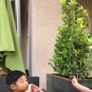 김성옥 인권행정사사무소 이미지