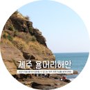 해안도 | [제주] 용머리해안 방문후기 : 주차정보/개방시간/포토스팟/기념품 총정리