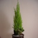 연정목장 이미지