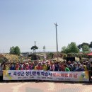 문화 뉴스 문해 이미지