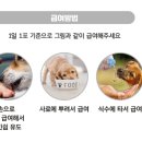 폴리파크 비산점 이미지
