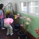 묘산초등학교 이미지