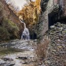 근화당약국 이미지