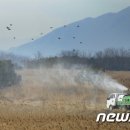 낙동강관리본부 화명생태공원 11 이미지