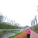광교천 이미지