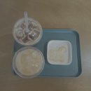 대한목장 | 제주 서귀포 카페 추천 대한목장 포니 말 있는 카페 후기