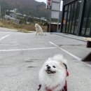 베르데펜션