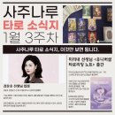 [공지] [사주나루 타로 주간 소식지 1월 3주차] 이것만 보면 됩니다.