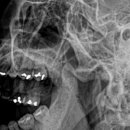 호국로789번길 이미지