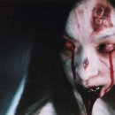 셔터(shutter) 이미지