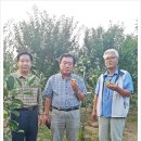 처음농장 이미지