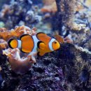 도서관 속 과학교실 이미지