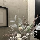 김앤박차이의원 이미지