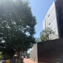 달빛과쉬는시간 | 남양주 웨이크보드 강습 달빛수상레저