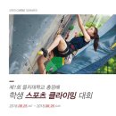 대한스포츠클라이밍협회